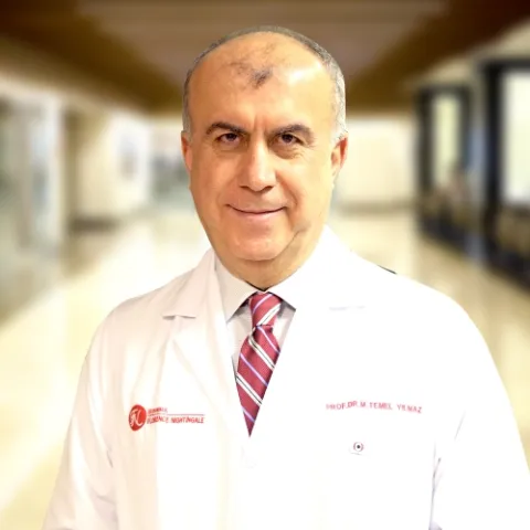 Prof. Dr. MEHMET TEMEL YILMAZ