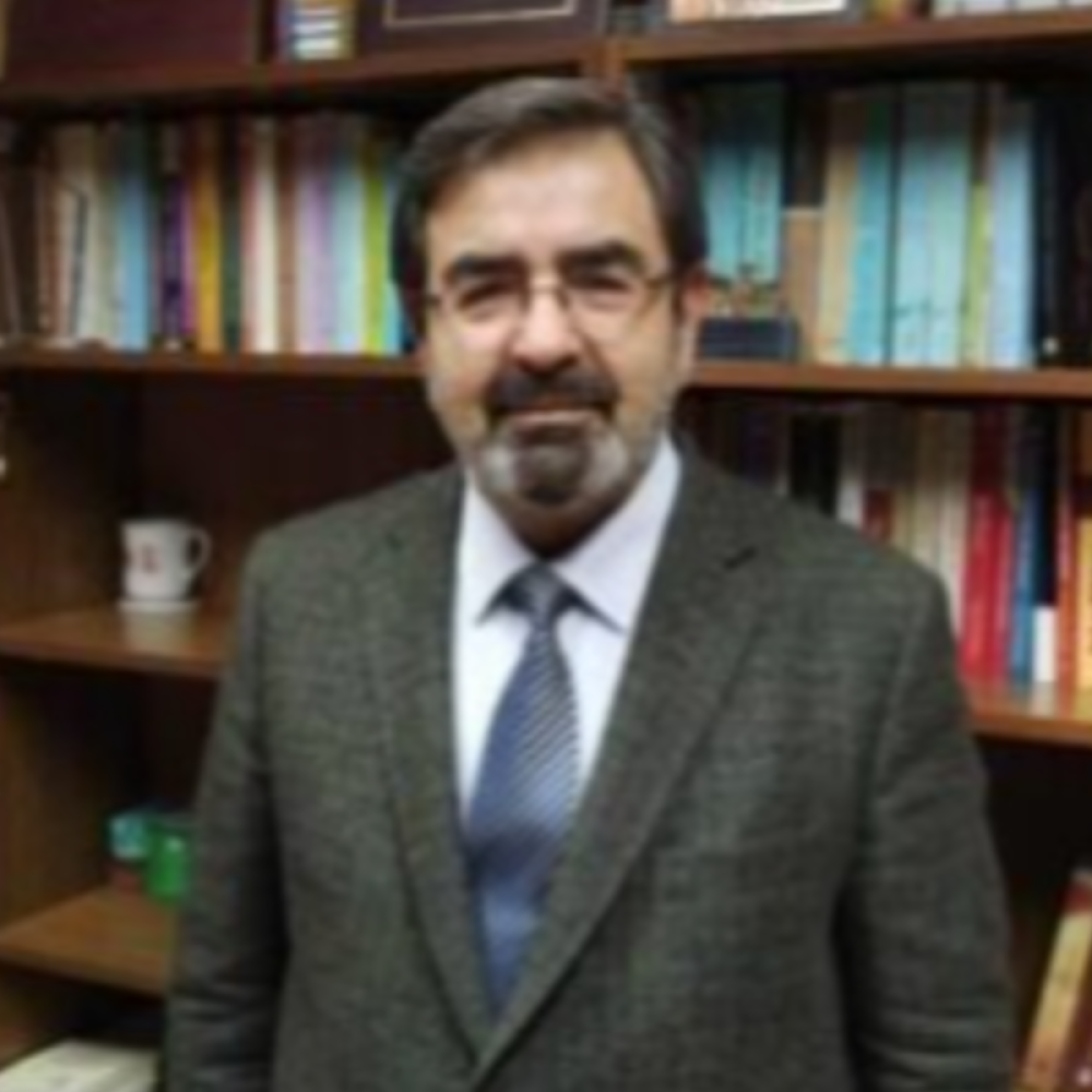 Prof. Dr. CELAL DEMİR