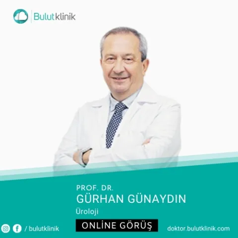 Prof. Dr. GÜRHAN GÜNAYDIN