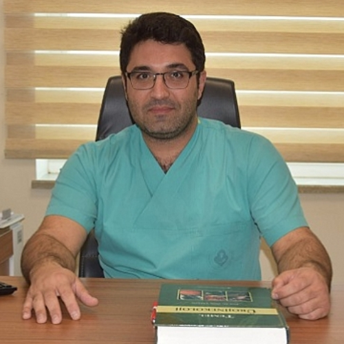 Prof. Dr. ALPER BAŞBUĞ