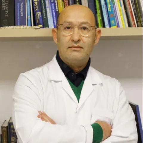 Prof. Dr. AHMET Y ŞARLAK