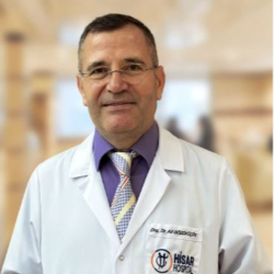 Assoc. Prof. Dr. ALİ GÖZÜKÜÇÜK