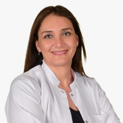 Prof. Dr. ELİF AKSOY